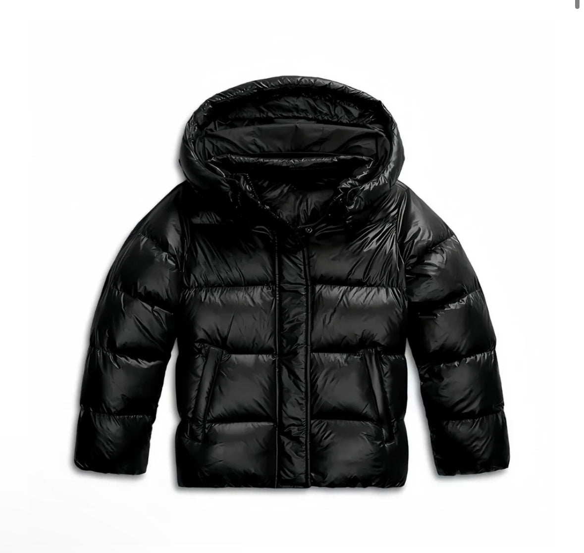 Winter Shield Puffer